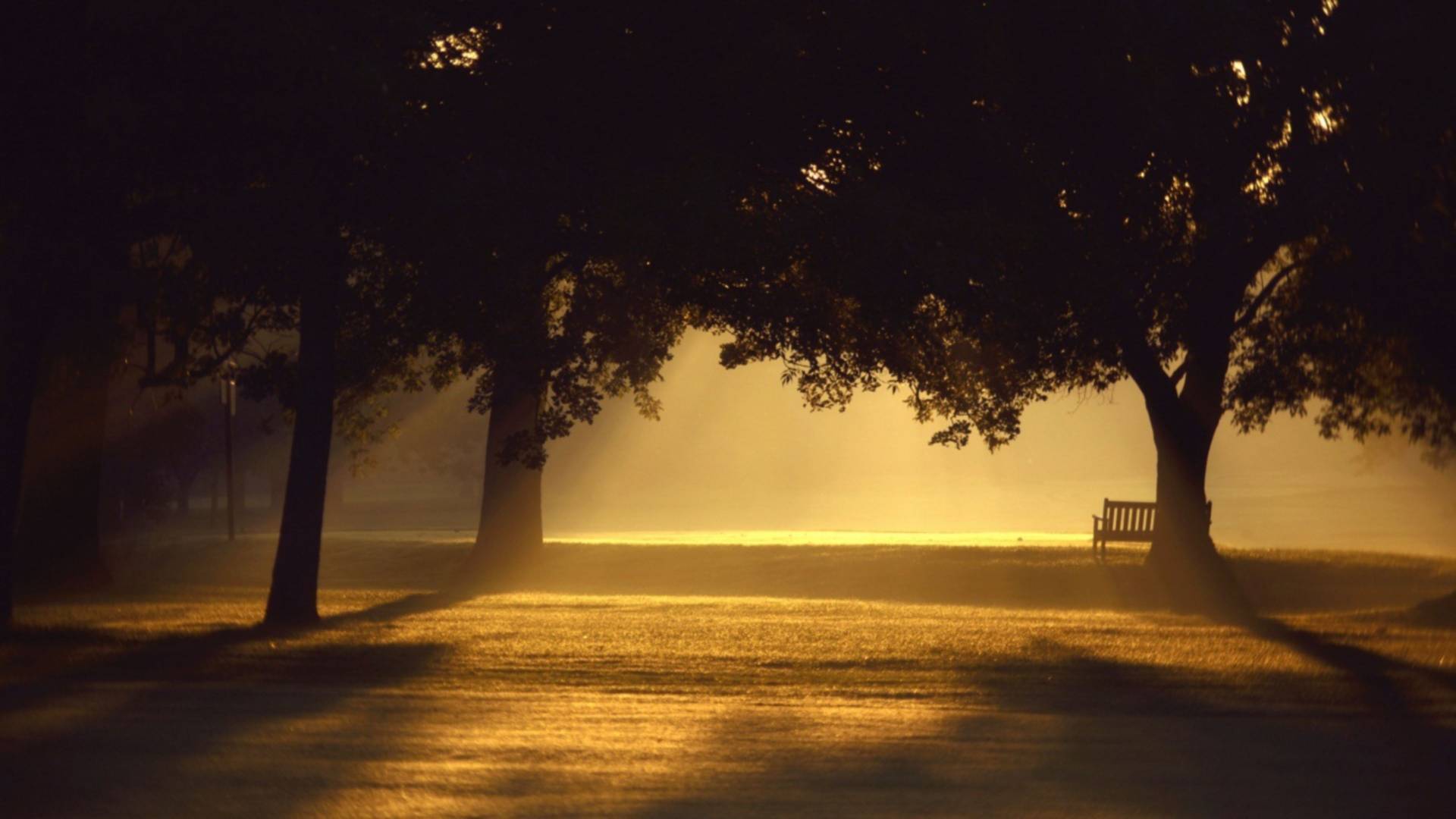 The question is not what you look at, but what you see.” – Henry David Thoreau