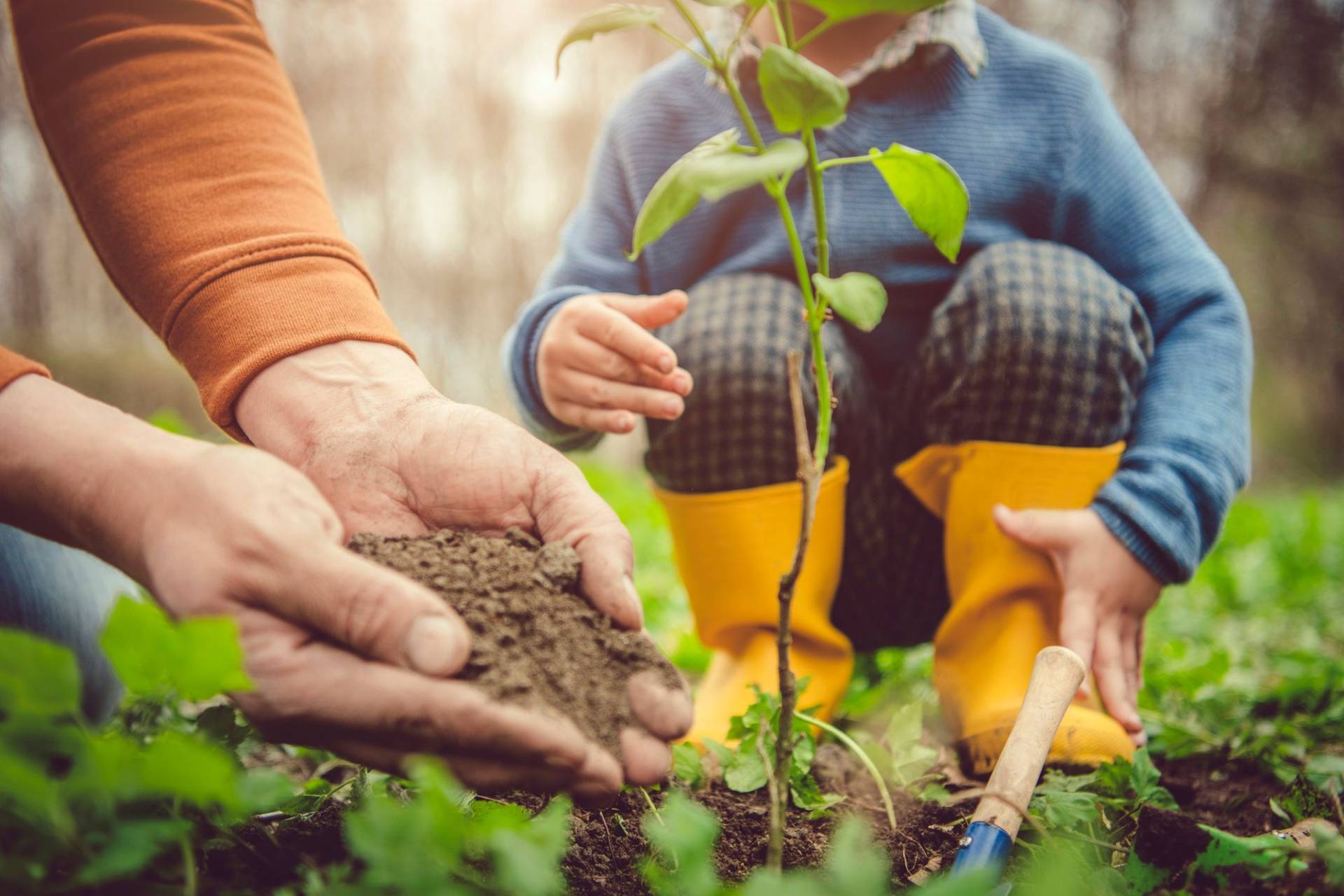 “One generation plants the tree – another gets the shade.” – Unknown