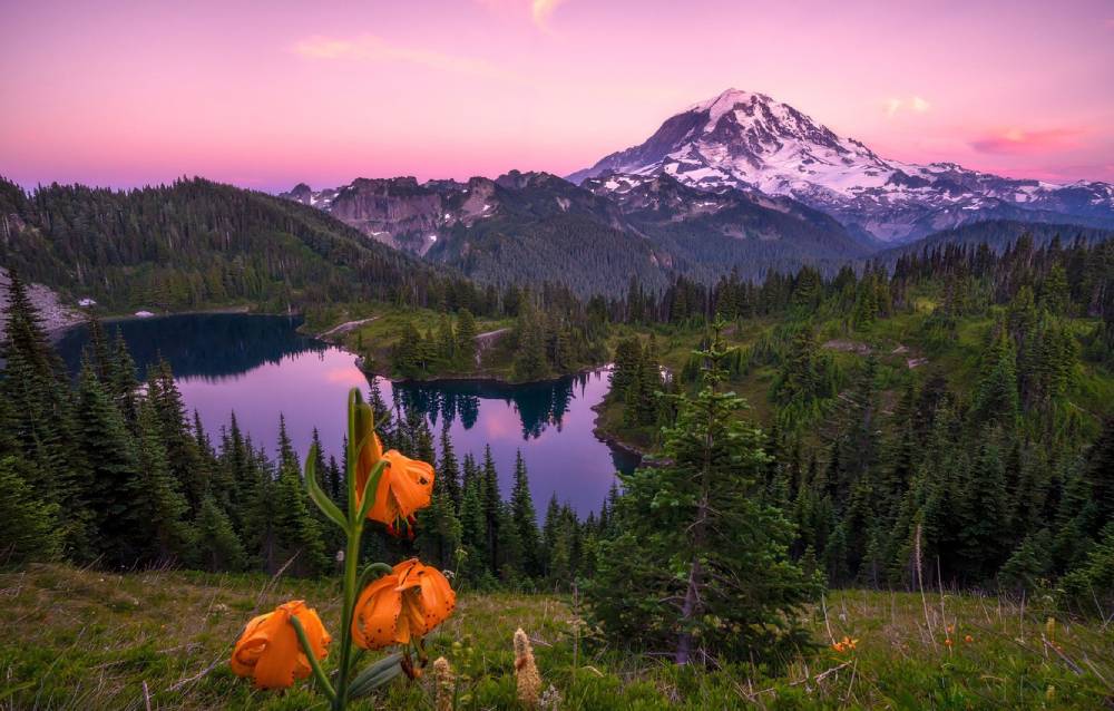 “The unwillingness to try is worse than any failure.” – Nikki Giovanni