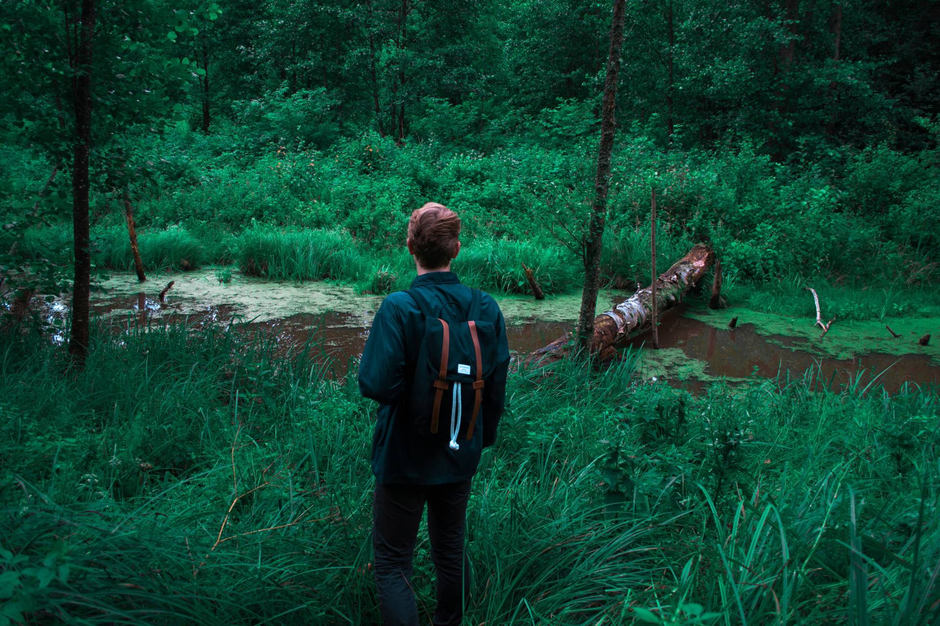 “Stand up straight and realize who you are, that you tower over your circumstances.” – Maya Angelou