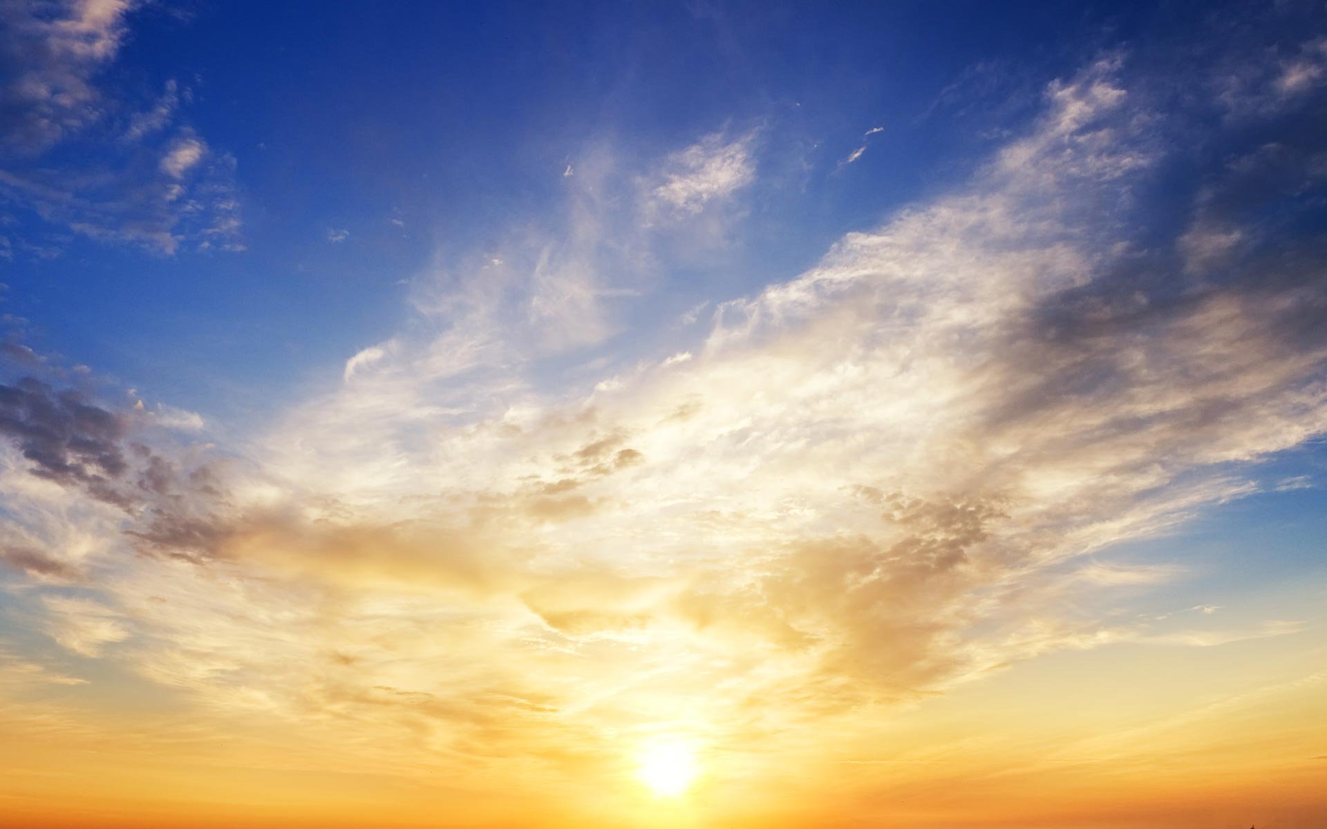 “If you’re always trying to be normal, you’ll never know how amazing you can be.” – Maya Angelou